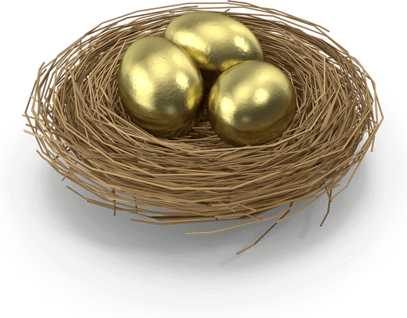 IRA Gold Nest Egg